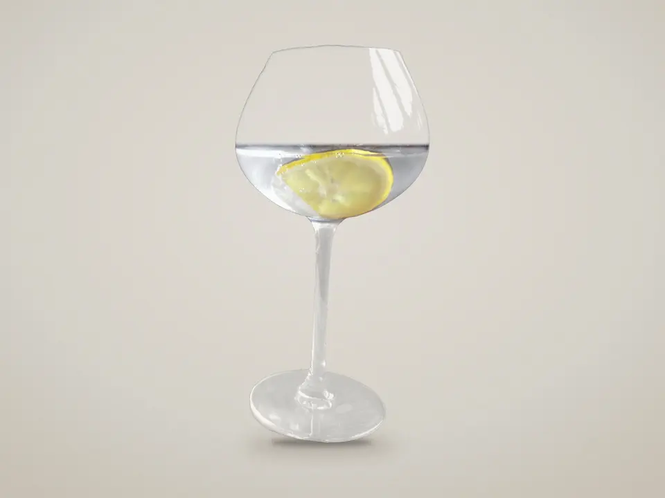 Gin tonic dans un verre ballon avec du citron